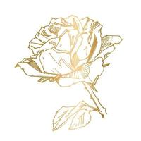 printhandgezeichnete Rose. Vektor-Illustration. Rose im Vintage-Tattoo-Stil. Blumenmotivskizze für Design. Tintenillustration isoliert. vektor