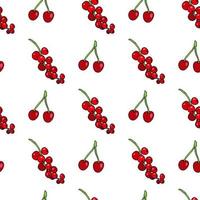 nahtloses Muster mit roten Johannisbeeren und Kirschen auf weißem Hintergrund. Vektorbild. vektor
