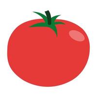 mogen röd tomat klotter ikon vektor