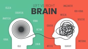 linke Gehirnhälfte vs. rechte Gehirndominanz Infografik-Vorlage. wie das menschliche gehirn funktioniert theorie. Kreative Menschen mit rechter Gehirnhälfte und analytische Denker mit linker Gehirnhälfte Konzept. visueller Folienpräsentationsvektor vektor