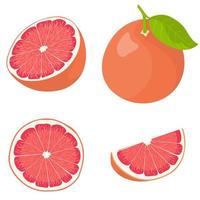 ganzes und geschnittenes Grapefruitset vektor