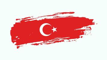 professioneller abstrakter Grunge-Türkei-Flaggenvektor vektor