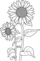 skisse Sol blomma på vit bakgrund för vuxna färg bok vektor
