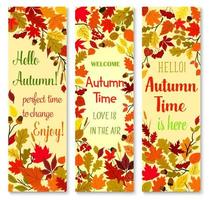 herbstsaison und herbst natur banner set design vektor