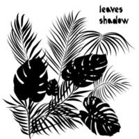 schwarze silhouette monstera, tropische blätter der areca-palme lokalisiert auf weißem hintergrund. Schattenmuster. exotisches Design für Vintage-Stofftextilien, Mode, Druck, Poster vektor