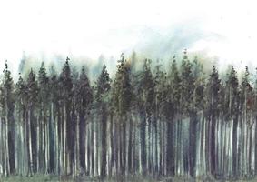 tall träd skog i vattenfärg målning vektor