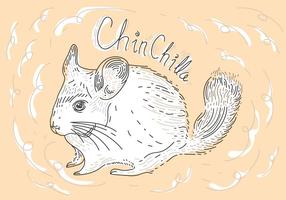 Gratis Chinchilla Vector Illustration