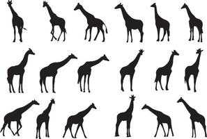 das set der giraffe silhouette collection vektor