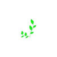 grünes Blatt Symbol Bild Illustration Vektordesign natürlich vektor