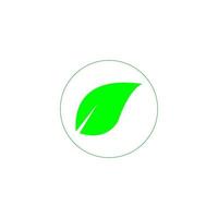 grön blad ikon bild illustration vektor design naturlig
