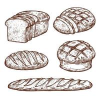 Vektorskizze Brotikonen der Bäckerei vektor