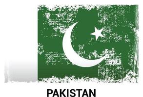 Pakistan-Flaggen-Designvektor vektor