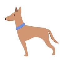 Hund mit blauem Halsband. vektorflache illustration des netten haustieres lokalisiert auf weiß vektor