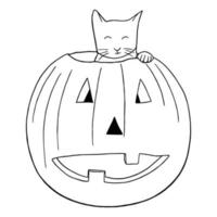 linje konst minimal av söt katt i halloween pumpa begrepp, klotter stil hand dragen vektor