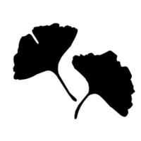 Ginkgo-Biloba-Blätter vektor