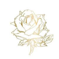 printhandgezeichnete Rose. Vektor-Illustration. Rose im Vintage-Tattoo-Stil. Blumenmotivskizze für Design. Tintenillustration isoliert. vektor