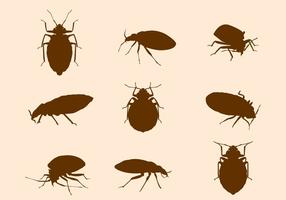 Gratis Bed Bug Vector