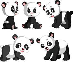 de samling av de söt panda med annorlunda Framställ vektor