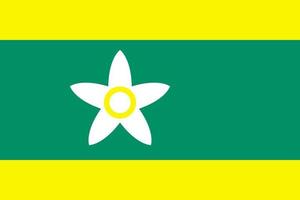 Ehime-Flagge, Präfektur Japan. Vektor-Illustration vektor