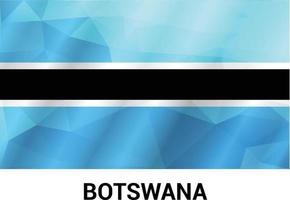 Botswana-Flaggen-Designvektor vektor