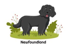 newfoundland hund djur med svart, brun eller landseer Färg i platt stil söt tecknad serie mall hand dragen illustration vektor