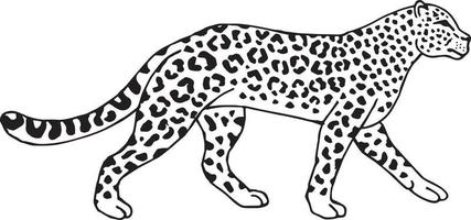 Vektor handgezeichneter Leopard