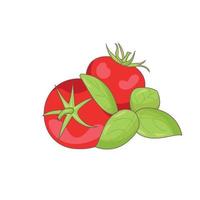 tomater med löv på en vit bakgrund vektor