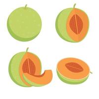 eine Reihe verschiedener Melonensorten vektor