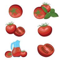 ein Satz gezeichneter verschiedener Tomaten, die Hälfte davon. vektor