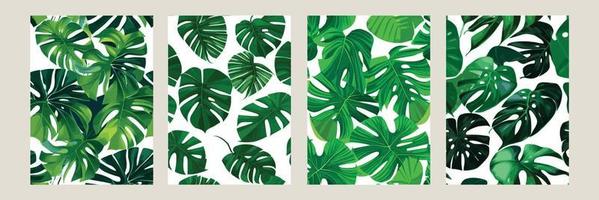 grön monstera som en mönster på en vit bakgrund. exotisk mönster med tropisk löv. vektor illustration. uppsättning av fyrkant posters