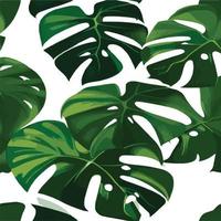 grüner Monstera-Muster weißer Hintergrund. exotisches Muster mit tropischen Blättern. Vektor-Illustration. Monstera-Blattmuster. tropische Palmenblätter. Exotischer Designstoff, Textildruck, Geschenkpapier vektor