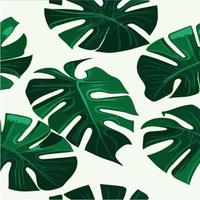 grüner Monstera-Muster weißer Hintergrund. exotisches Muster mit tropischen Blättern. Vektor-Illustration. Monstera-Blattmuster. tropische Palmenblätter. Exotischer Designstoff, Textildruck, Geschenkpapier vektor