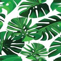 grüner Monstera-Muster weißer Hintergrund. exotisches Muster mit tropischen Blättern. Vektor-Illustration. Monstera-Blattmuster. tropische Palmenblätter. Exotischer Designstoff, Textildruck, Geschenkpapier vektor