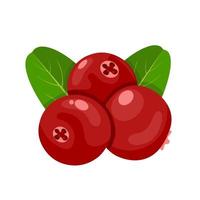 Vektor-Illustration, Cranberry mit grünen Blättern, isoliert auf weißem Hintergrund. vektor