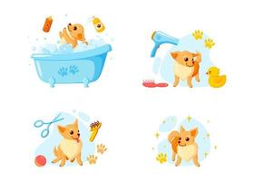 Hundepflege in einem Bad mit Tiershampoo, Kämmen und Gummienten. Verspielter Chihuahua-Welpe im Pflegedienst. Vektor-Illustration vektor