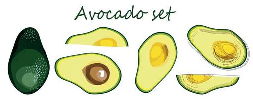 Avocado-Symbole gesetzt. hellgrünes ganzes Obst oder Gemüse, Hälfte, Scheiben. flache vektorillustration vektor