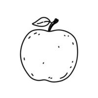 Apfel isoliert auf weißem Hintergrund. organische gesunde lebensmittel. handgezeichnete Vektorgrafik im Doodle-Stil. perfekt für Karten, Dekorationen, Logos, Menüs, Rezepte. vektor