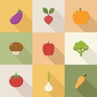 eine Reihe einfacher Gemüsesymbole mit Schatten. das Konzept einer gesunden, nahrhaften Ernährung. Veganismus, Vegetarismus. Vektor