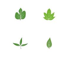 grönt träd blad ekologi naturelement vektor