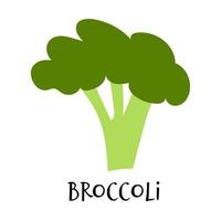 vektor illustration av broccoli i hand dragen platt stil.