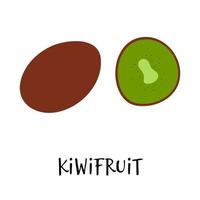 vektor illustration av Kiwi frukt i hand dragen platt stil.