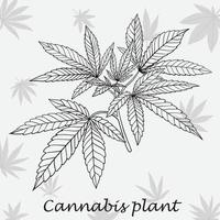 enkelhet cannabisväxt frihandsritning platt design. vektor