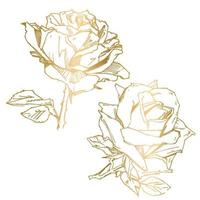 printhandgezeichnete Rose. Vektor-Illustration. Rose im Vintage-Tattoo-Stil. Blumenmotivskizze für Design. Tintenillustration isoliert. vektor