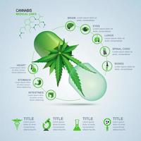 infografiken zu cannabispillen vektor