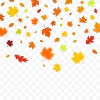 Herbst fallende Blätter isoliert auf weißem Hintergrund vektor