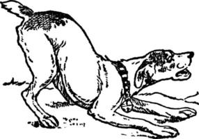 Hund, Vintage-Illustration. vektor