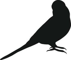 undulat silhuett isolerat på vit bakgrund. svart hand dragen vektor konst av en sällskapsdjur fågel. enkel vektor illustration av ett djur-