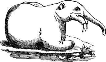 deinotherium oder hoe tusker, vintage illustration. vektor