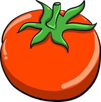 rote Tomate, Illustration, Vektor auf weißem Hintergrund