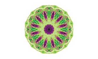 Luxus-Mandala-Design-Vektor-Hintergrund Vintage abstrakte Blumenmuster-Design vektor